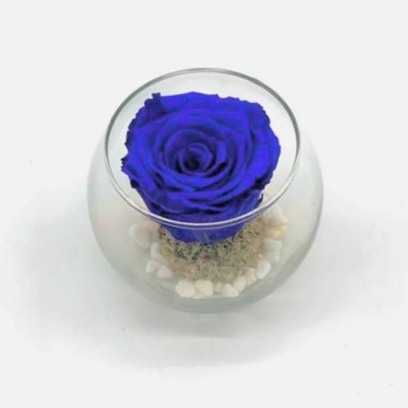 Mini Royal Blue R